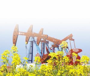 胡文瑄 深耕石油地質的杰出科學家